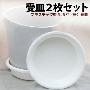 m͔|vp wɕ֗IuM2ZbgvvX`bN5D6(jMxyށz(st) AAAϗtA̒ATCYɍœKI