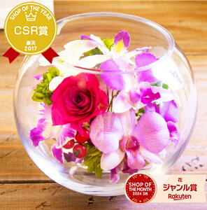 wX̃OXu[PuANAMvx ԃMtg Iׂ Ӓ JgA{gt[ o a  ސEj ł킢 j LOvU[uht[ KXh[s
