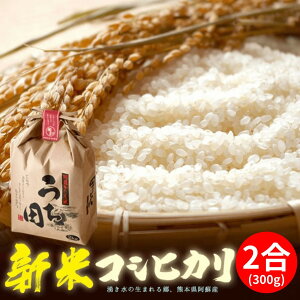 hV̓ v[gwh c_ 2025NV RVqJ2xԂƈꏏɑ Piw hV̓bZ[WJ[ht 傤ǂTCY 񂨂΂ɔ