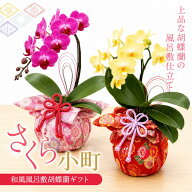 敬老の日 胡蝶蘭 花『ミディ胡蝶蘭 和風風呂敷仕立て「さくら小町」』花言葉 幸せが飛んで来る 和モダン …