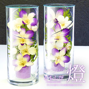  dp ~ ފ AWg Y{gt[ dpX^Cv wX̃OXu[P u-Ƃ-vxފ 2w1΂Ƃď邱Ƃł  KXh[