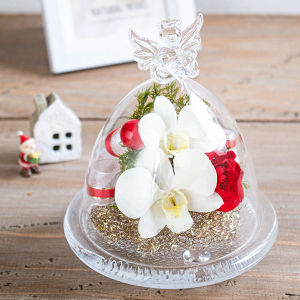 ͂ȂmMtg Y{gt[ wX̃OXu[P uGWF xvxft@̐ԂgpBsv̉iԃKXh[ av[g vU[uht