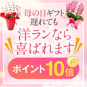 『思いやりいっぱいのお花を咲かせる洋ランギフト』楽天顧客満足度の最大化賞受賞