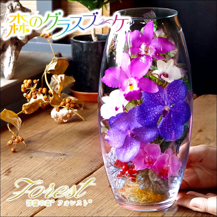 楽天市場 枯れない洋ランギフト 国産ボトルフラワー 森のグラスブーケ フォレスト 花 ギフト ブリザーブドフラワー プリザーブドフラワー ガラスドーム 花 プレゼント 還暦祝い お誕生日プレゼント 退職祝い 昇進祝い 引っ越し祝い ギフトアレンジメント 送料無料