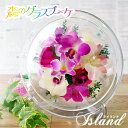 プレゼント 国産ボトルフラワー 『森のグラスブーケ 「アイランド (新)」』花プレゼント 花ギフト ブリザーブドフラワー プリザーブド ドライ ガラスドーム ギフト 花 アレンジメント 記念品 名入れ 退院祝い SGDs [btl02]《母》
