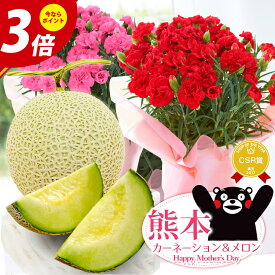 楽天市場 メロン 花 観葉植物 花 ガーデン Diy の通販