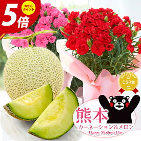 楽天市場 メロン 母の日 花の通販 楽天市場 メロン 母の日 花の通販