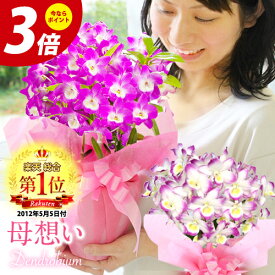 楽天市場 デンドロビウム 花 ガーデン Diy の通販