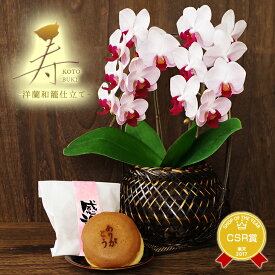 楽天市場 胡蝶蘭 かごの通販
