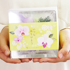 国産ボトルフラワー『森のグラスブーケ「スクエア」』《母》花ギフトブリザーブドフラワープリザーブドフラワーガラスドーム花プレゼント還暦祝い結婚記念日送料無料お誕生日プレゼント【母の日ギフト2022】和風お供え花母の日花アレンジメント