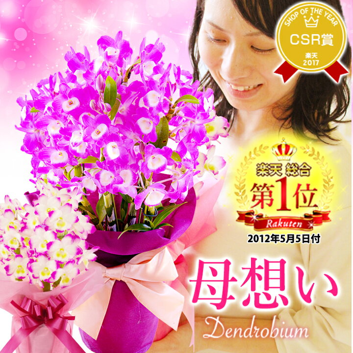 楽天市場 遅れてゴメンね 母の日 母の日ギフト22 選べる2種の デンドロビューム 母想い 贈 花言葉 思いやり 年5月7日 楽天総合デイリーランキング１位の母の日プレゼントデンドロビウム 母の日 鉢植え鉢花 母 森水木のラン屋さん