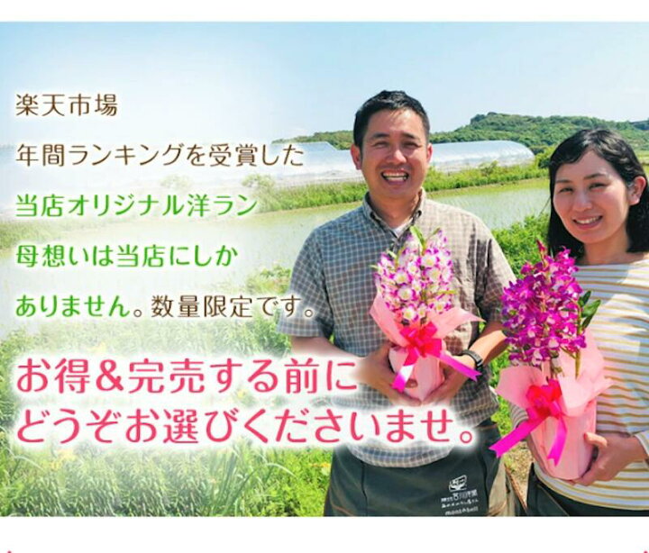 楽天市場 遅れてゴメンね 母の日 母の日ギフト22 選べる2種の デンドロビューム 母想い 贈 花言葉 思いやり 年5月7日 楽天総合デイリーランキング１位の母の日プレゼントデンドロビウム 母の日 鉢植え鉢花 母 森水木のラン屋さん