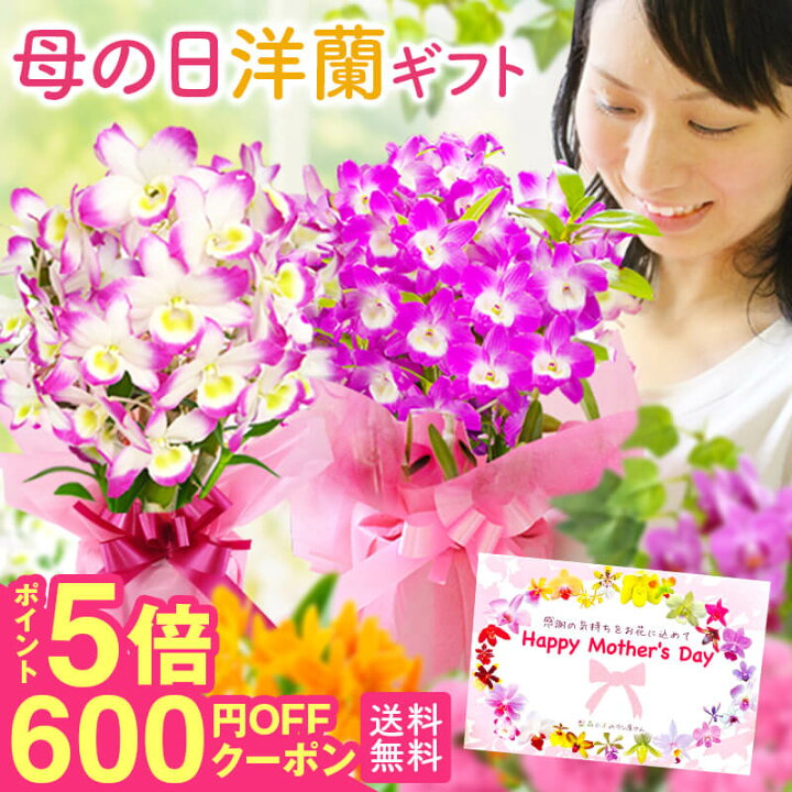 楽天市場】＼超早割＆P5倍中／母の日2025 ギフト 選べる 蘭 ギフト 