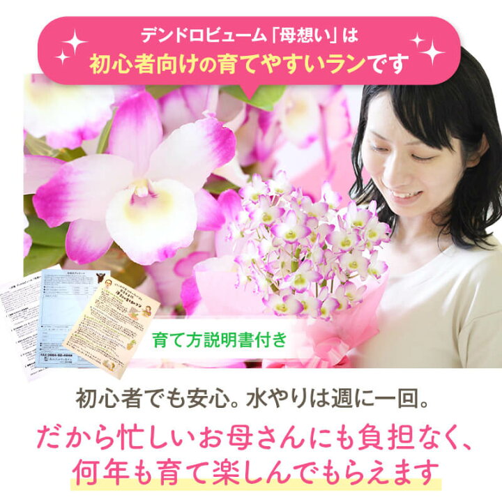 楽天市場】＼超早割＆P5倍中／母の日2025 ギフト 選べる 蘭 ギフト 