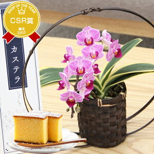 hV̓ `9/10 v[gwrOӒ aJSdāx1{/2{ Iׂ3F Ԏ F g e[uTCY J[l[VȊO `ꂳA΂A