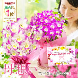 母の日 超早割 P10倍 鉢植え 蘭『デンドロビューム 母想い』2026 選べる カード付き 花言葉は「思いやり」 洋ラン 珍しい花 ラッピング 鉢花 【楽天総合1位】プレゼント 花鉢 ピンク メッセージカード 送料無料《母》【贈】【母】