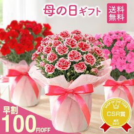 カーネーション 母の日 早割『国産！生花！ボリューム満点カーネーション』プレゼント 花言葉 感動 定番 赤 ピンク 鉢花 メッセージカード付 母の日カード付き 植木鉢 花鉢 送料無料 5号鉢 4000円以下【贈】《母》【母】