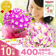 母の日 【早割ポイント10倍】『デンドロビューム 母想い』鉢植え 蘭 2026 選べる カード付き 花言葉は「…