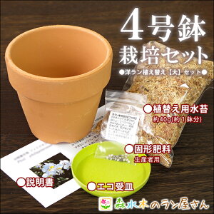 3号鉢セットが付属としてつきます☆