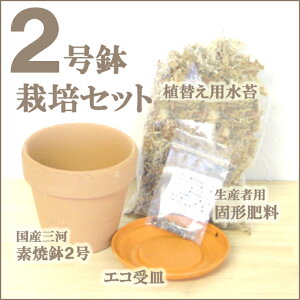 2号または3号植替えセットが付属としてつきます。Den.loddigesii