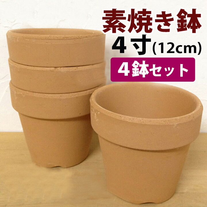 楽天市場 洋蘭栽培プロ用資材 ４号素焼き鉢４鉢セット St スタンダードなデザインのシンプルなテラコッタポット 洋蘭栽培に一番最適な鉢 はやっぱり素焼鉢 植え替え用に是非 植木鉢 鉢植え 深型 森水木のラン屋さん