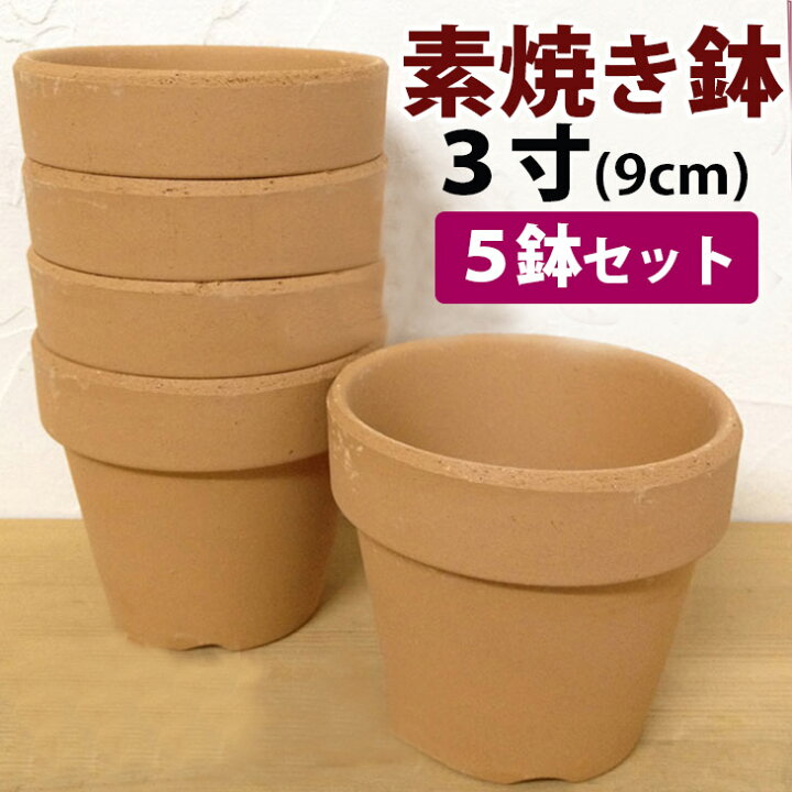 楽天市場 洋蘭栽培プロ用 3号素焼き鉢5鉢セット 材 スタンダードなデザインのシンプルなテラコッタポット 洋蘭栽培に一番最適な鉢はやっぱり素焼鉢 植え替え用に是非 植木鉢 鉢植え 深型 森水木のラン屋さん