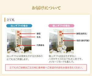 『胡蝶蘭3本立ち大輪「鶴(つる)」』立札無料・メッセージカード無料各種お祝いお中元お供え仏花など贈り物に白大輪胡蝶蘭(コチョウラン)の生花鉢花