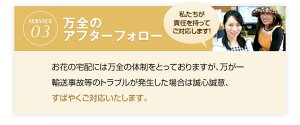『胡蝶蘭3本立ち大輪「鶴(つる)」』立札無料・メッセージカード無料各種お祝いお中元お供え仏花など贈り物に白大輪胡蝶蘭(コチョウラン)の生花鉢花