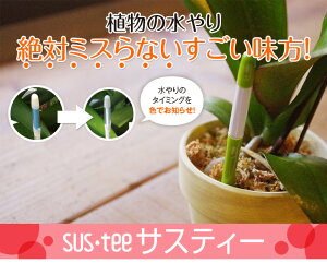 これでもう迷わない!色がかわっておしえてくれる!ランの水やりのタイミングがわかる!『鉢植え植物専用水分計sus・teeサスティー』