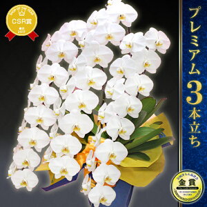 胡蝶蘭 種の人気商品 通販 価格比較 価格 Com