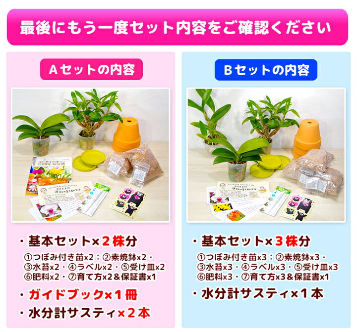 楽天市場】『初心者さん向け洋ラン栽培キット「4187（ヨイハナ）セット  