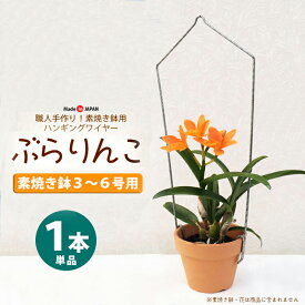 楽天市場 ハンギングワイヤー 植木鉢 プランター ガーデニング 農業 花 ガーデン Diyの通販