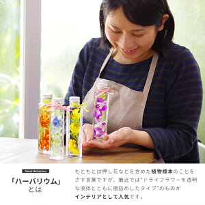 母の日ギフト2018『選べる4色!洋蘭ハーバリウム&特製クッキーセット』ボトルフラワー製造で培ったお花の色を損なわない当店独自の最高品質のドライフラワー技術!カトレア・デンファレ・デンドロビューム・オンシジュームを使用!