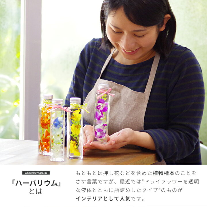 楽天市場 選べる4色 洋蘭ギフト 花 洋ラン農園手づくり 洋蘭ハーバリウム 贈 花色を損なわない独自のドライフラワー技術 ミニ胡蝶蘭 カトレア デンファレ デンドロビューム オンシジュームを使用 プレゼント 森水木のラン屋さん 楽天市場 選べる4色 洋蘭ギフト 花 洋ラン農園手づくり 洋蘭ハーバリウム 贈 花色を損なわない独自のドライフラワー技術 ミニ胡蝶蘭 カトレア デンファレ デンドロビューム オンシジュームを使用 プレゼント 森水木のラン屋さん