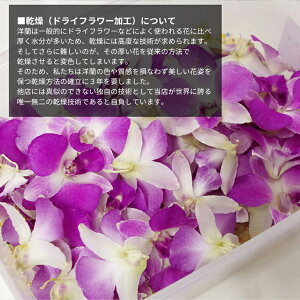 母の日ギフト2018『選べる4色!洋蘭ハーバリウム&特製クッキーセット』ボトルフラワー製造で培ったお花の色を損なわない当店独自の最高品質のドライフラワー技術!カトレア・デンファレ・デンドロビューム・オンシジュームを使用!