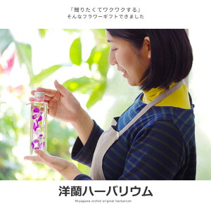 母の日ギフト2018『選べる4色!洋蘭ハーバリウム&特製クッキーセット』ボトルフラワー製造で培ったお花の色を損なわない当店独自の最高品質のドライフラワー技術!カトレア・デンファレ・デンドロビューム・オンシジュームを使用!
