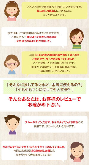 これでもう迷わない!色がかわっておしえてくれる!ランの水やりのタイミングがわかる!『鉢植え植物専用水分計sus・teeサスティー』
