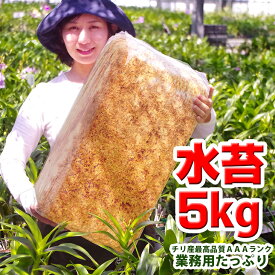 楽天市場 ミズゴケの通販