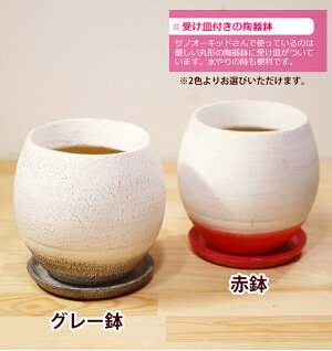 寒冷地へのお届け