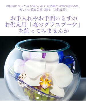 枯れない洋ラン『国産ボトルフラワー「森のグラスブーケアクアお供え用」』洋蘭デンファレ等を使用。お取替え・お手入れ不要の画期的な供花お供えご供養お悔やみお見舞い喪中見舞いギフト森水木のラン屋さん