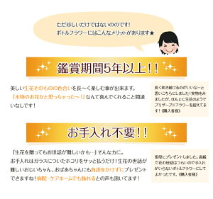枯れない洋ラン『国産ボトルフラワー「森のグラスブーケアクアお供え用」』洋蘭デンファレ等を使用。お取替え・お手入れ不要の画期的な供花お供えご供養お悔やみお見舞い喪中見舞いギフト森水木のラン屋さん