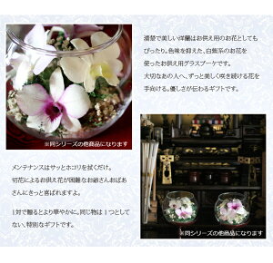 お供え・仏花に枯れない洋ラン『国産ボトルフラワー「森のグラスブーケお供え用新アクア」』お取替え・お手入れ不要の供花お盆新盆初盆お彼岸法事仏事ご供養お悔やみお見舞い喪中見舞い