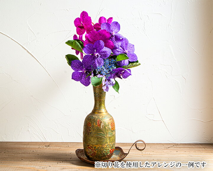 楽天市場 4本以上購入で送料無料 選べる花色 バンダ切り花 1本 切り花のみ 鉢は含まれません 森水木のラン屋さん