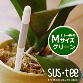 楽天市場 セラミスインジケーター Lの通販