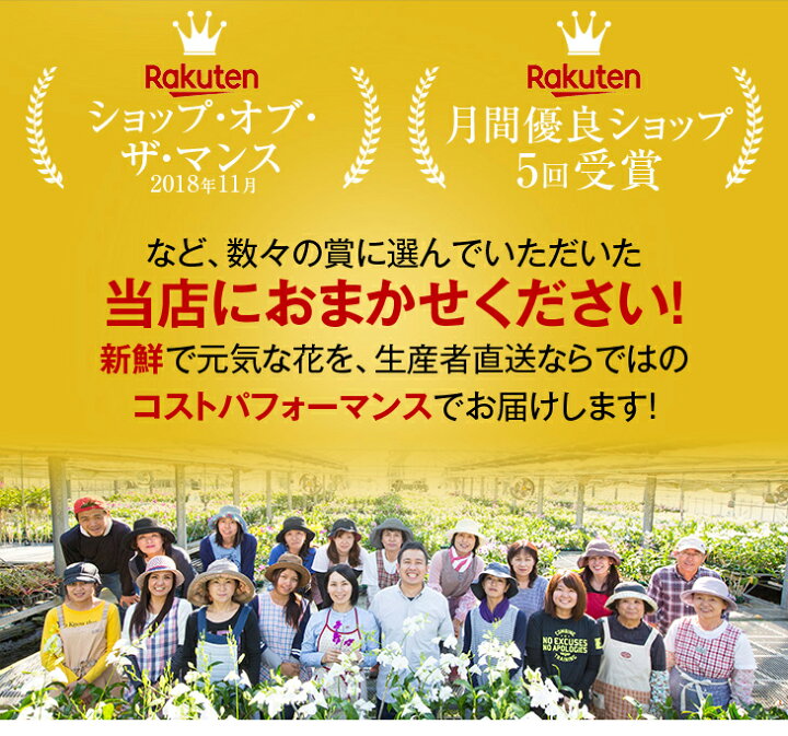 楽天市場】洋ランの苗『今ならつぼみ、または花付き--大輪白胡蝶蘭 V3【花咲く苗セット】』花 セット 花 鉢世界で最も選ばれている最高峰ファレノプシスの白品種をご自宅で!洋蘭栽培の趣味をプレゼントに!胡蝶蘭の育て方 : 森水木のラン屋さん 楽天市場】洋ランの苗『今ならつぼみ、または花付き--大輪白胡蝶蘭 V3【花咲く苗セット】』花 セット 花 鉢世界で最も選ばれている最高峰ファレノプシスの白品種をご自宅で!洋蘭栽培の趣味をプレゼントに!胡蝶蘭の育て方 : 森水木のラン屋さん