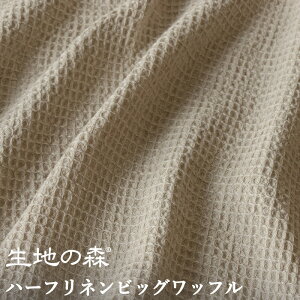 n[tl rbObt n̐X 50cmP {