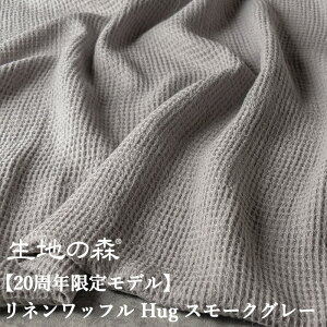y20N胂fzlbt-nO(Hug)/X[NO[ n̐X 50cmP btn z ln ^I Pbg xM[l l100 i