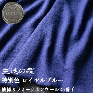 �_�労�ӍՊ��Ԓ��yP5�{�z+�ő�2000�~�N�[�|�� �^�y����Łz���D�胉�~�[���l���E�[��25�Ԏ���ʐF ���C�����u���[���n ���l���E�[�� �i�`�������_�C�h ����F �� �u���[���n�̐X 50cm�P��