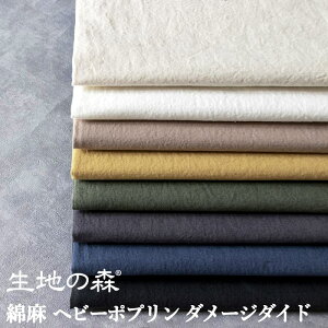 Ȗwr[|v_[W_Ch Rbgl n̐X 50cmP