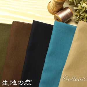 _ubNtCf[ԒyP5{z+ő2000~N[| ^n̐X GWvgR[}gpIRbg{C50cmP